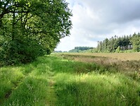 IMG_20240530_101451132_HDR
