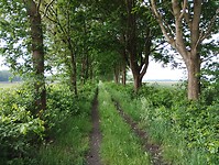 IMG_20240530_095027646