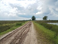 IMG_20240531_141435697