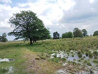 IMG_20240531_140036203