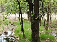 IMG_20240531_132655095