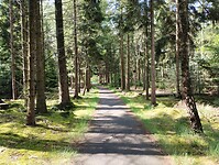 IMG_20240531_120405885