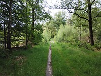 IMG_20240531_115117358