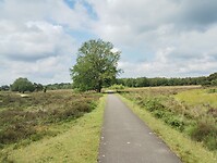 IMG_20240531_112738855