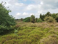 IMG_20240531_112304374