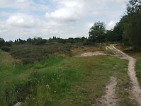 IMG_20240531_112034203
