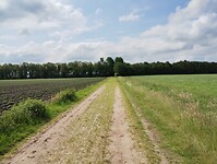 IMG_20240531_110750112