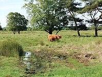 IMG_20240531_092956352