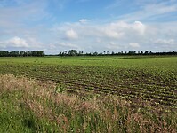 IMG_20240531_092637574
