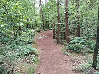 IMG_20240531_125152510