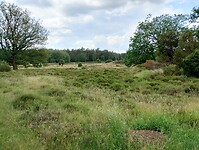 IMG_20240531_130904835_HDR