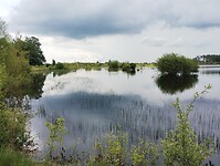 IMG_20240531_131239255