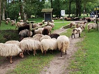 IMG_20240531_150108997