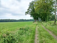 IMG_20240601_145336928_HDR