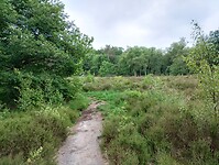 IMG_20240601_122202293_HDR