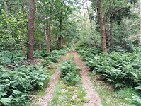 IMG_20240601_121025278