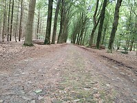 IMG_20240601_112637476