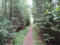 IMG_20240601_110812737