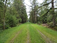 IMG_20240601_105854549