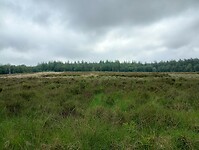 IMG_20240601_103031540_HDR
