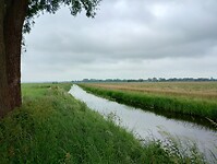 IMG_20240601_100308080_HDR