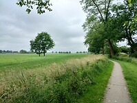 IMG_20240601_095031333_HDR