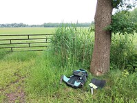 IMG_20240602_125409324