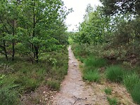 IMG_20240602_111053544