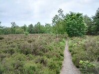 IMG_20240602_111015799_HDR