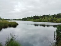 IMG_20240602_110530434