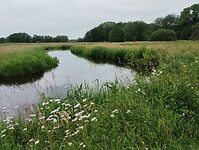 IMG_20240602_095645772