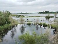 IMG_20240603_154412683