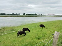 IMG_20240603_151056947