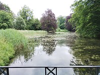 IMG_20240603_145333972