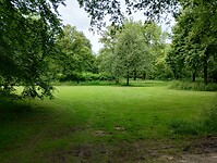 IMG_20240603_144916251_HDR