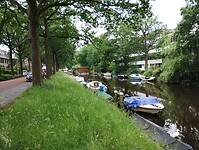 IMG_20240603_131505294