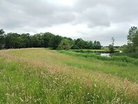 IMG_20240603_112853961
