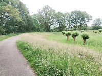 IMG_20240603_112013131