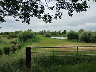 IMG_20240603_111051967