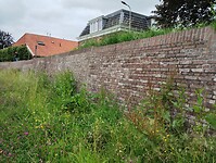 IMG_20240603_094704933
