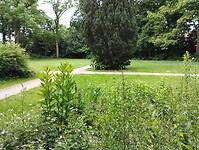 IMG_20240603_093743459