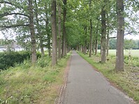 IMG_20240604_155614370