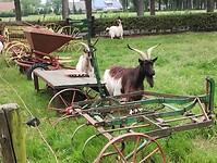 IMG_20240604_152207572