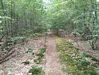 IMG_20240604_131044281
