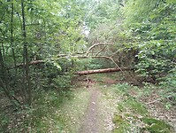 IMG_20240604_130929250