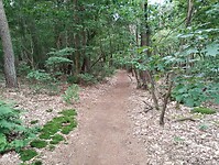 IMG_20240604_130340745