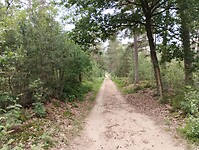 IMG_20240604_114149870