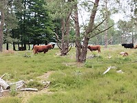 IMG_20240604_113621374