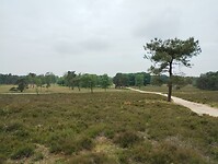 IMG_20240604_112344654