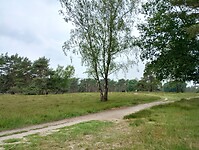 IMG_20240604_110433750_HDR
